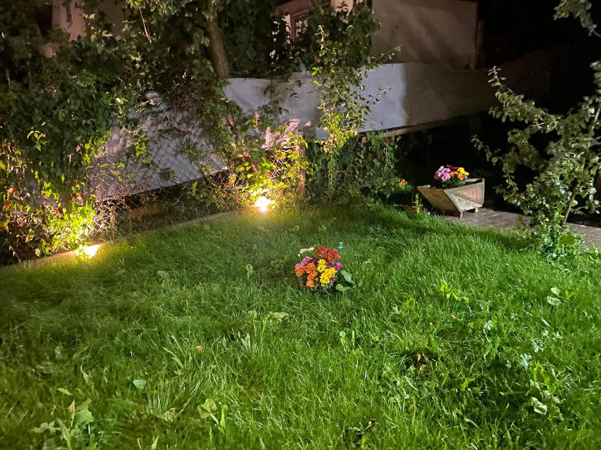 Eden In Vitry Logement Entier 외부 사진